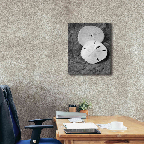 Image of 'Dream' by Debra Van Swearingen, Canvas Wall Art,20 x 24