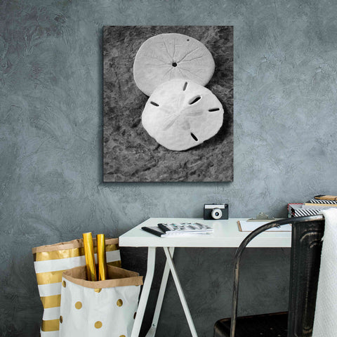 Image of 'Dream' by Debra Van Swearingen, Canvas Wall Art,20 x 24