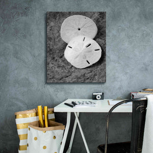 'Dream' by Debra Van Swearingen, Canvas Wall Art,20 x 24
