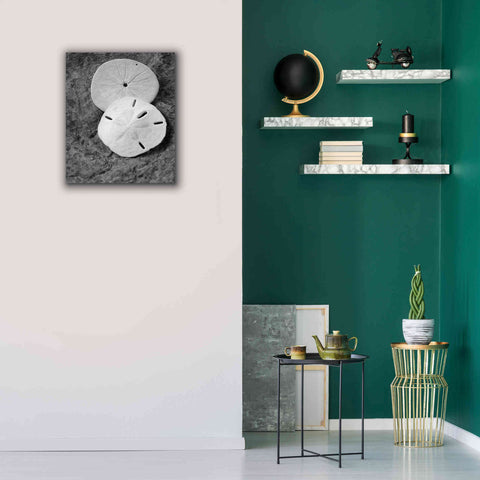 Image of 'Dream' by Debra Van Swearingen, Canvas Wall Art,20 x 24