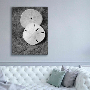 'Dream' by Debra Van Swearingen, Canvas Wall Art,40 x 54