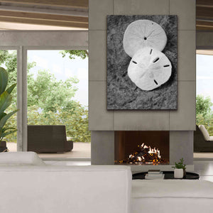 'Dream' by Debra Van Swearingen, Canvas Wall Art,40 x 54