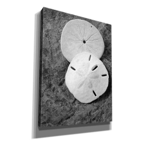 Image of 'Dream' by Debra Van Swearingen, Canvas Wall Art,12x16x1.1x0,20x24x1.1x0,26x30x1.74x0,40x54x1.74x0