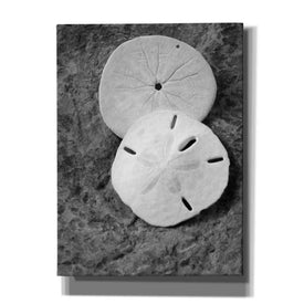 'Dream' by Debra Van Swearingen, Canvas Wall Art,12x16x1.1x0,20x24x1.1x0,26x30x1.74x0,40x54x1.74x0