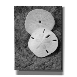 'Dream' by Debra Van Swearingen, Canvas Wall Art,12x16x1.1x0,20x24x1.1x0,26x30x1.74x0,40x54x1.74x0