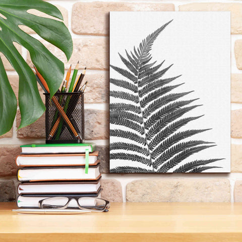 Image of 'Truth' by Debra Van Swearingen, Canvas Wall Art,12 x 16