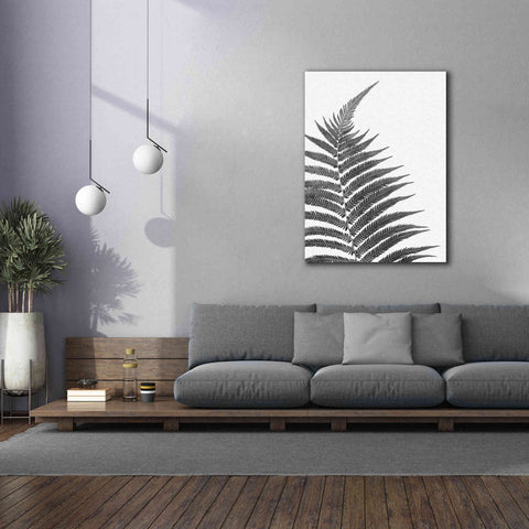 Image of 'Truth' by Debra Van Swearingen, Canvas Wall Art,40 x 54