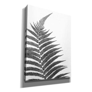 'Truth' by Debra Van Swearingen, Canvas Wall Art,12x16x1.1x0,20x24x1.1x0,26x30x1.74x0,40x54x1.74x0