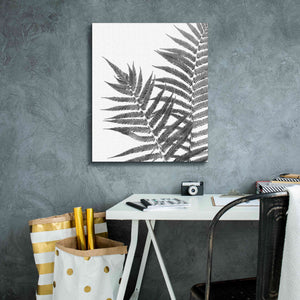 'Aspire' by Debra Van Swearingen, Canvas Wall Art,20 x 24