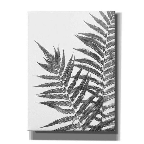 Image of 'Aspire' by Debra Van Swearingen, Canvas Wall Art,12x16x1.1x0,20x24x1.1x0,26x30x1.74x0,40x54x1.74x0