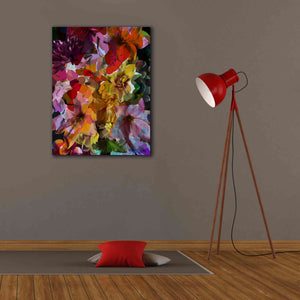 'Abstract Floral' by Shandra Smith, Canvas Wall Art,26 x 34