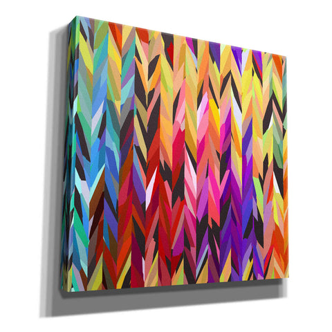 Image of 'Burst of Color' by Shandra Smith, Canvas Wall Art,12x12x1.1x0,18x18x1.1x0,26x26x1.74x0,37x37x1.74x0