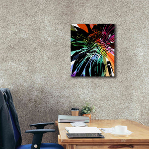'Flower 25' by Shandra Smith, Canvas Wall Art,20 x 24