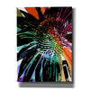 'Flower 25' by Shandra Smith, Canvas Wall Art,12x16x1.1x0,20x24x1.1x0,26x30x1.74x0,40x54x1.74x0
