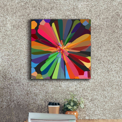 Image of 'Flower 12' by Shandra Smith, Canvas Wall Art,18 x 18