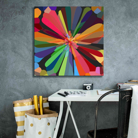 Image of 'Flower 12' by Shandra Smith, Canvas Wall Art,26 x 26