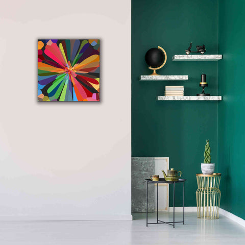 Image of 'Flower 12' by Shandra Smith, Canvas Wall Art,26 x 26