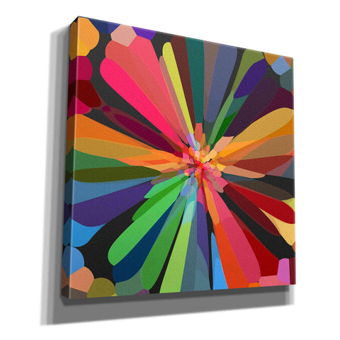 Image of 'Flower 12' by Shandra Smith, Canvas Wall Art,12x12x1.1x0,18x18x1.1x0,26x26x1.74x0,37x37x1.74x0