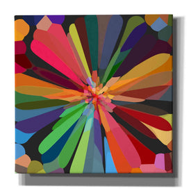 'Flower 12' by Shandra Smith, Canvas Wall Art,12x12x1.1x0,18x18x1.1x0,26x26x1.74x0,37x37x1.74x0