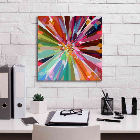 Image of 'Flower 16' by Shandra Smith, Canvas Wall Art,18 x 18