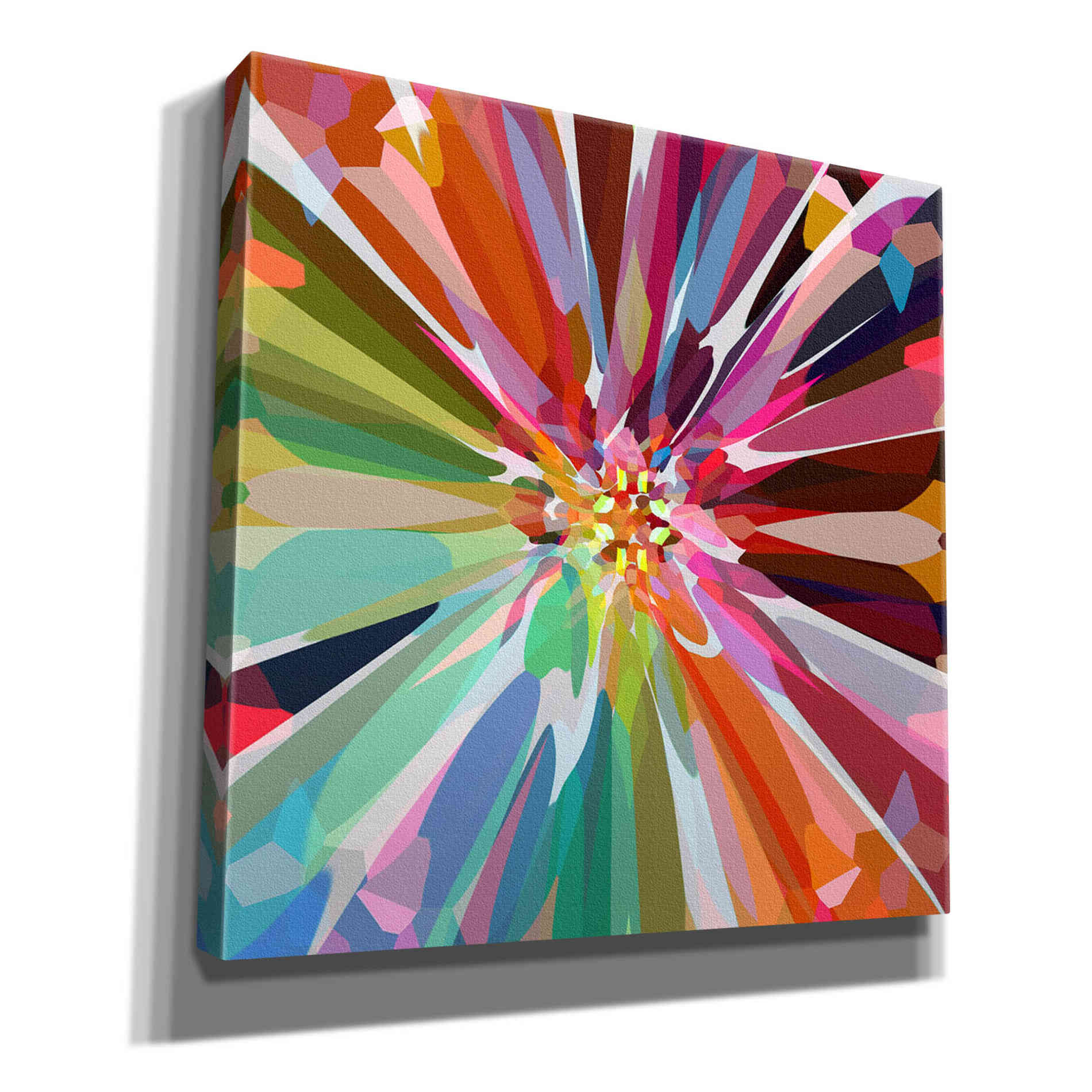 'Flower 16' by Shandra Smith, Canvas Wall Art,12x12x1.1x0,18x18x1.1x0,26x26x1.74x0,37x37x1.74x0