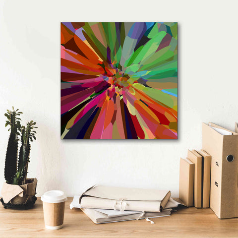 Image of 'Flower 27 ' by Shandra Smith, Canvas Wall Art,18 x 18