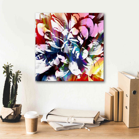 Image of 'Flower Power' by Shandra Smith, Canvas Wall Art,18 x 18