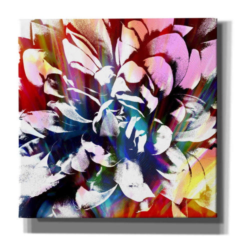 Image of 'Flower Power' by Shandra Smith, Canvas Wall Art,12x12x1.1x0,18x18x1.1x0,26x26x1.74x0,37x37x1.74x0