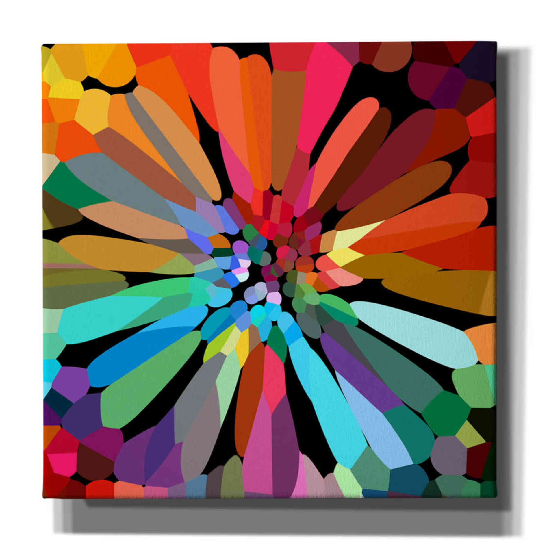 'Flower' by Shandra Smith, Canvas Wall Art,12x12x1.1x0,18x18x1.1x0,26x26x1.74x0,37x37x1.74x0