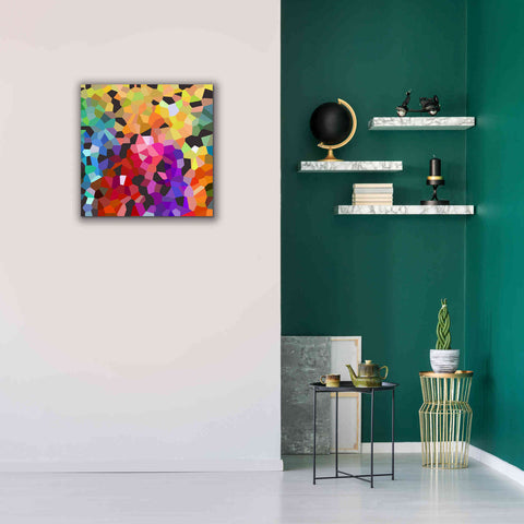 Image of 'Fooling Around' by Shandra Smith, Canvas Wall Art,26 x 26