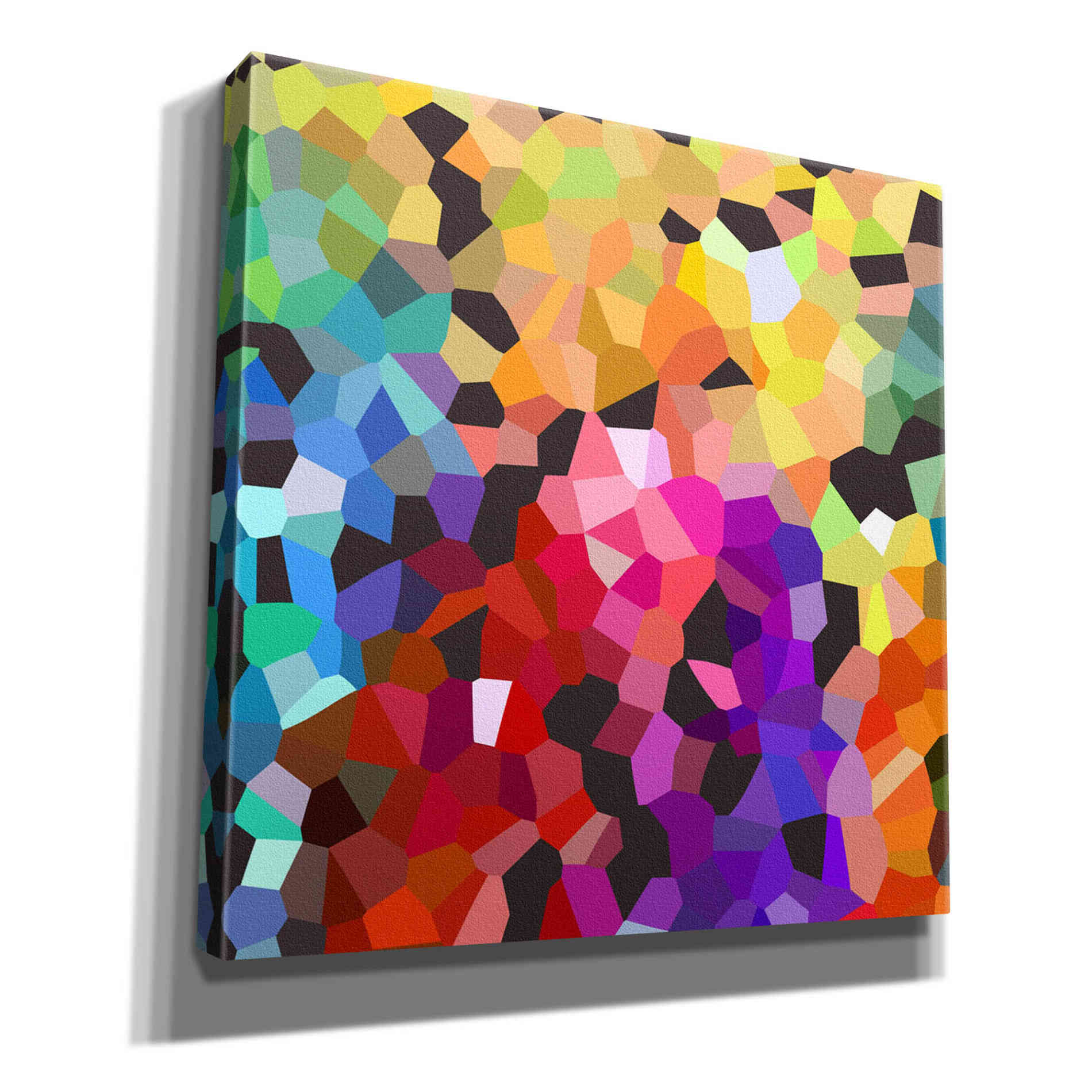 'Fooling Around' by Shandra Smith, Canvas Wall Art,12x12x1.1x0,18x18x1.1x0,26x26x1.74x0,37x37x1.74x0