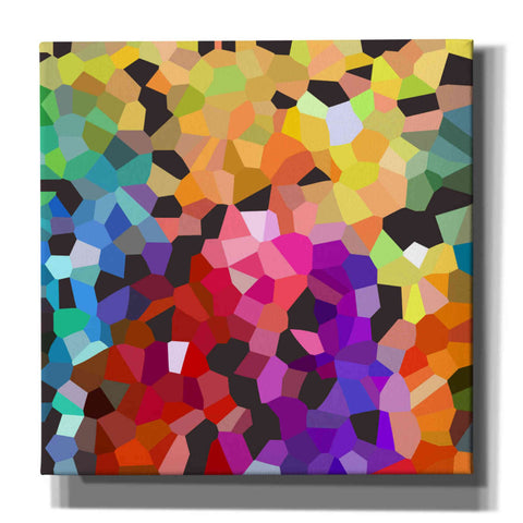 Image of 'Fooling Around' by Shandra Smith, Canvas Wall Art,12x12x1.1x0,18x18x1.1x0,26x26x1.74x0,37x37x1.74x0