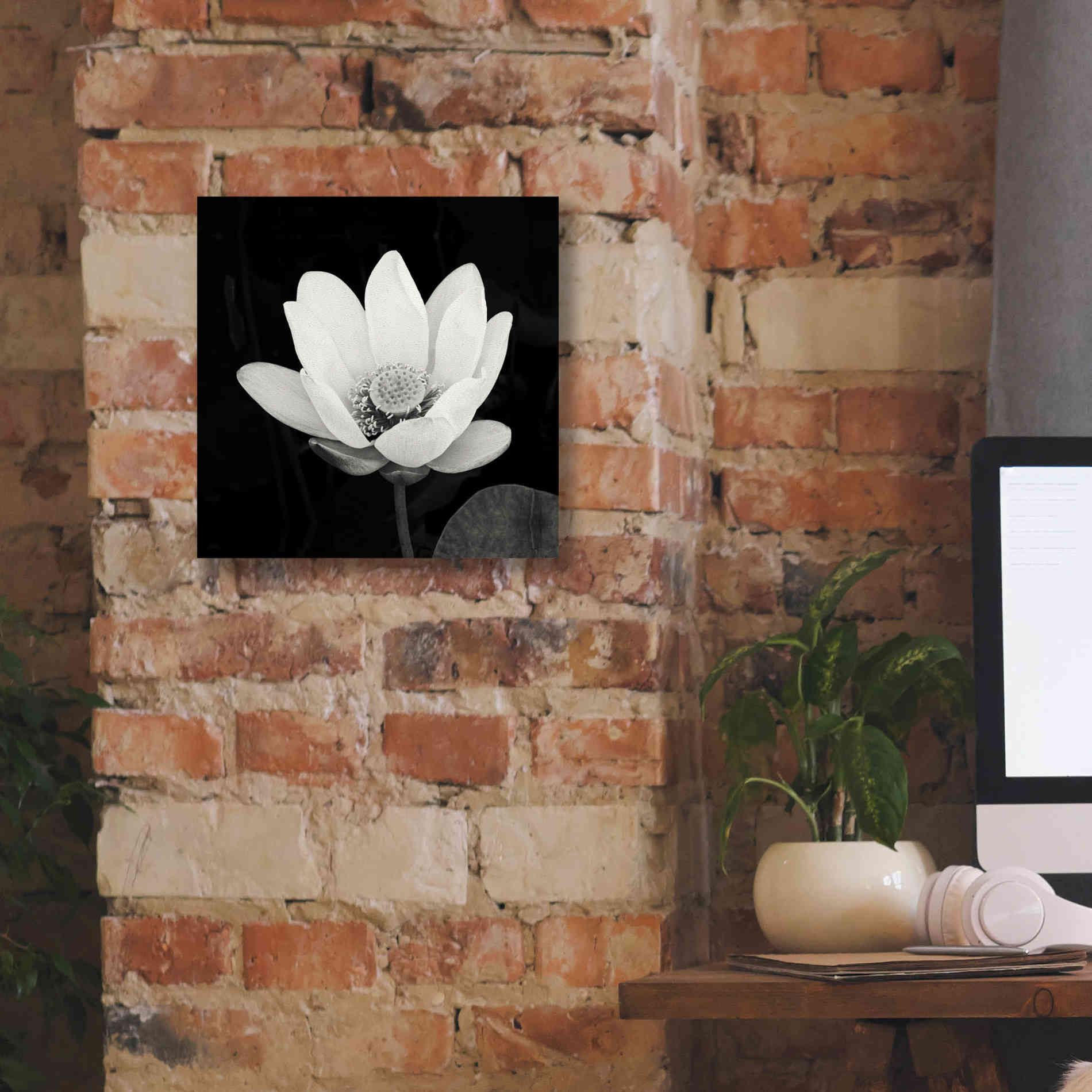 'Lotus Flower I' by Debra Van Swearingen, Canvas Wall Art,12 x 12