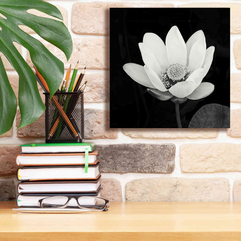 Image of 'Lotus Flower I' by Debra Van Swearingen, Canvas Wall Art,12 x 12