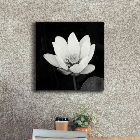 Image of 'Lotus Flower I' by Debra Van Swearingen, Canvas Wall Art,18 x 18