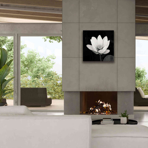Image of 'Lotus Flower I' by Debra Van Swearingen, Canvas Wall Art,26 x 26