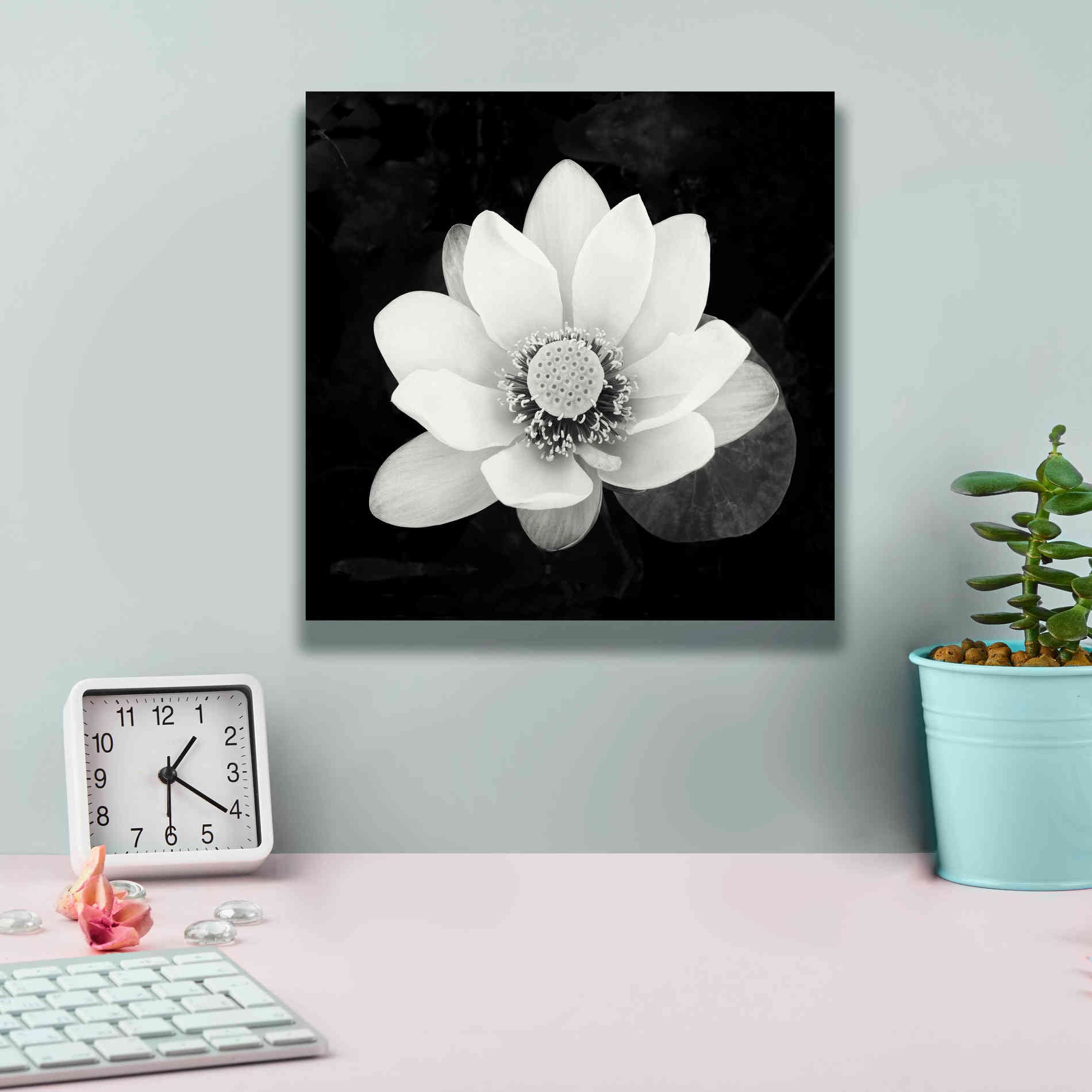 'Lotus Flower II' by Debra Van Swearingen, Canvas Wall Art,12 x 12