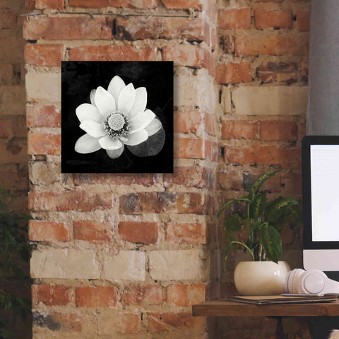 Image of 'Lotus Flower II' by Debra Van Swearingen, Canvas Wall Art,12 x 12