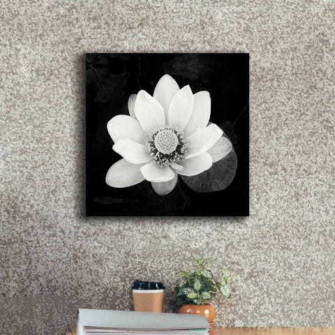 Image of 'Lotus Flower II' by Debra Van Swearingen, Canvas Wall Art,18 x 18