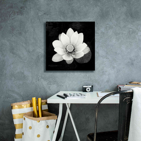 Image of 'Lotus Flower II' by Debra Van Swearingen, Canvas Wall Art,18 x 18
