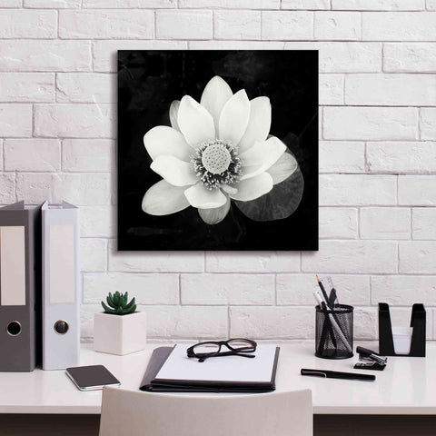 Image of 'Lotus Flower II' by Debra Van Swearingen, Canvas Wall Art,18 x 18