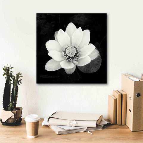 Image of 'Lotus Flower II' by Debra Van Swearingen, Canvas Wall Art,18 x 18