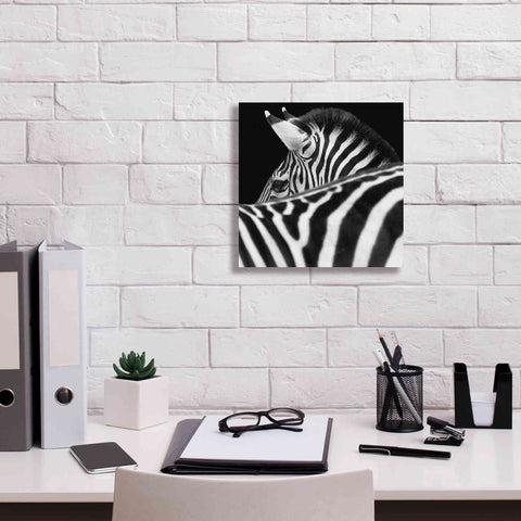 Image of 'Zebra III' by Debra Van Swearingen, Canvas Wall Art,12 x 12