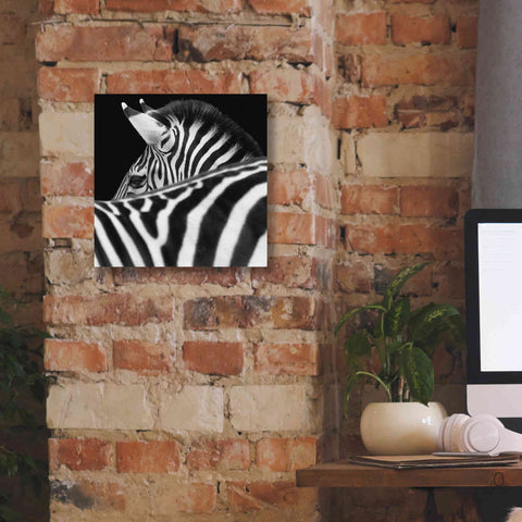 Image of 'Zebra III' by Debra Van Swearingen, Canvas Wall Art,12 x 12