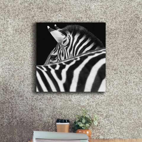 Image of 'Zebra III' by Debra Van Swearingen, Canvas Wall Art,18 x 18