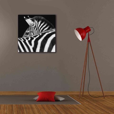 Image of 'Zebra III' by Debra Van Swearingen, Canvas Wall Art,26 x 26