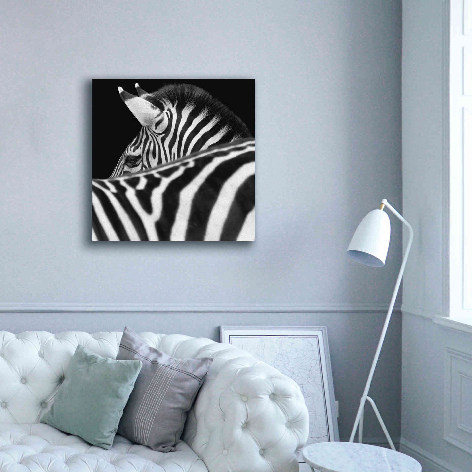 'Zebra III' by Debra Van Swearingen, Canvas Wall Art,37 x 37
