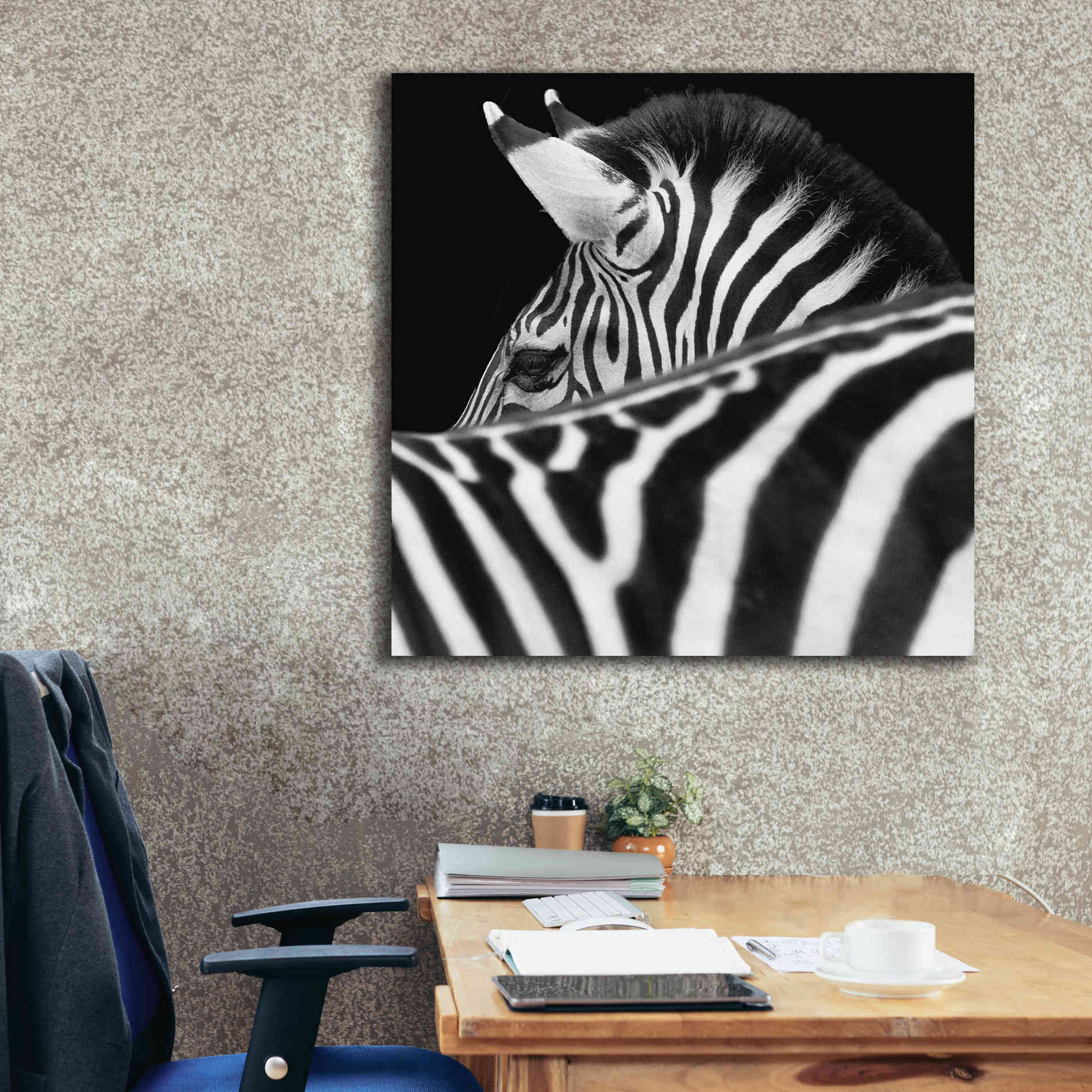 'Zebra III' by Debra Van Swearingen, Canvas Wall Art,37 x 37