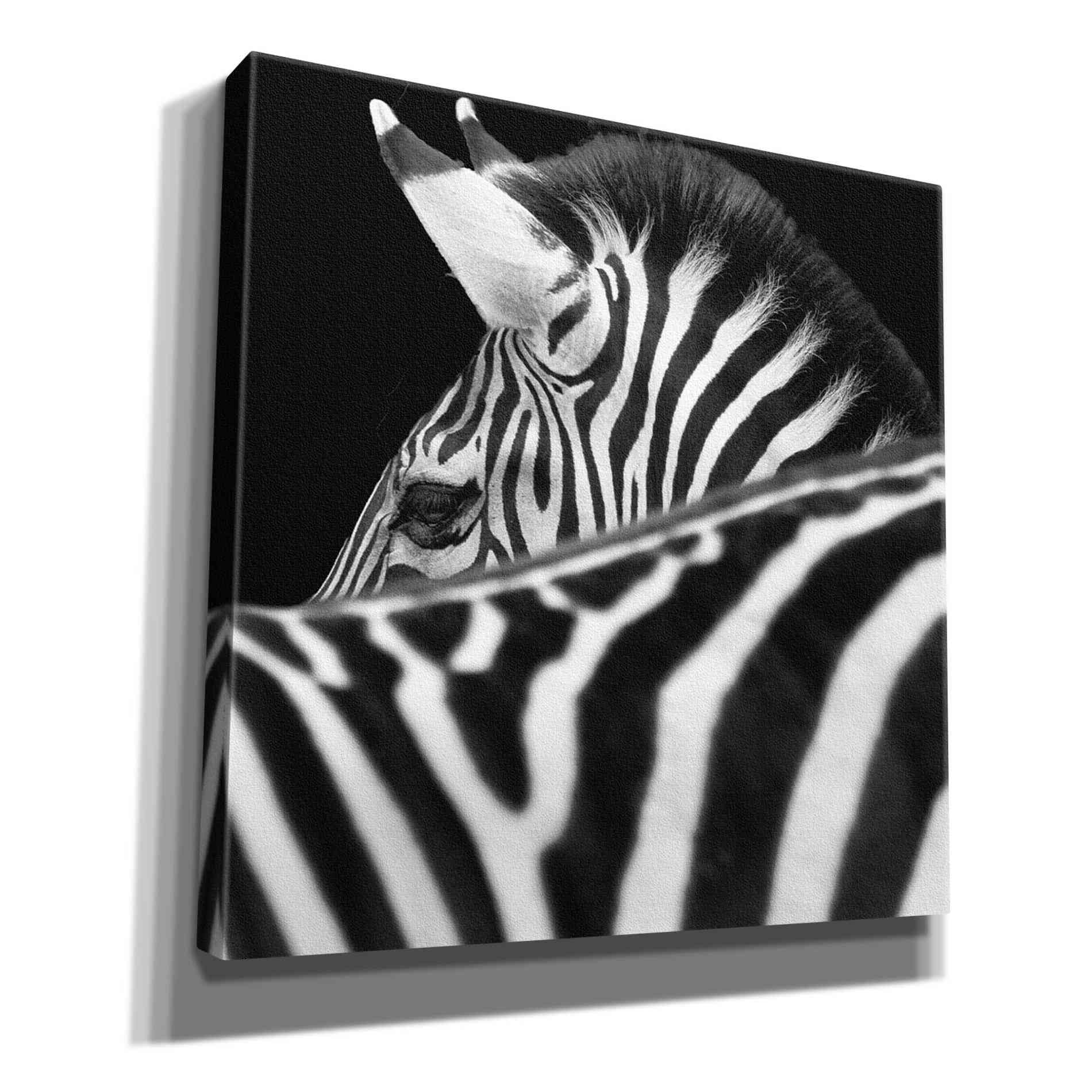 'Zebra III' by Debra Van Swearingen, Canvas Wall Art,12x12x1.1x0,18x18x1.1x0,26x26x1.74x0,37x37x1.74x0