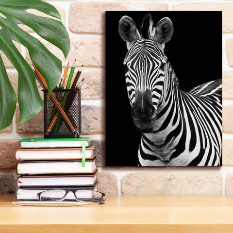 Image of 'Zebra II' by Debra Van Swearingen, Canvas Wall Art,12 x 16
